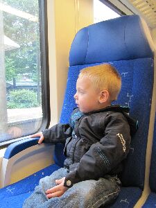 Tygo in de trein
